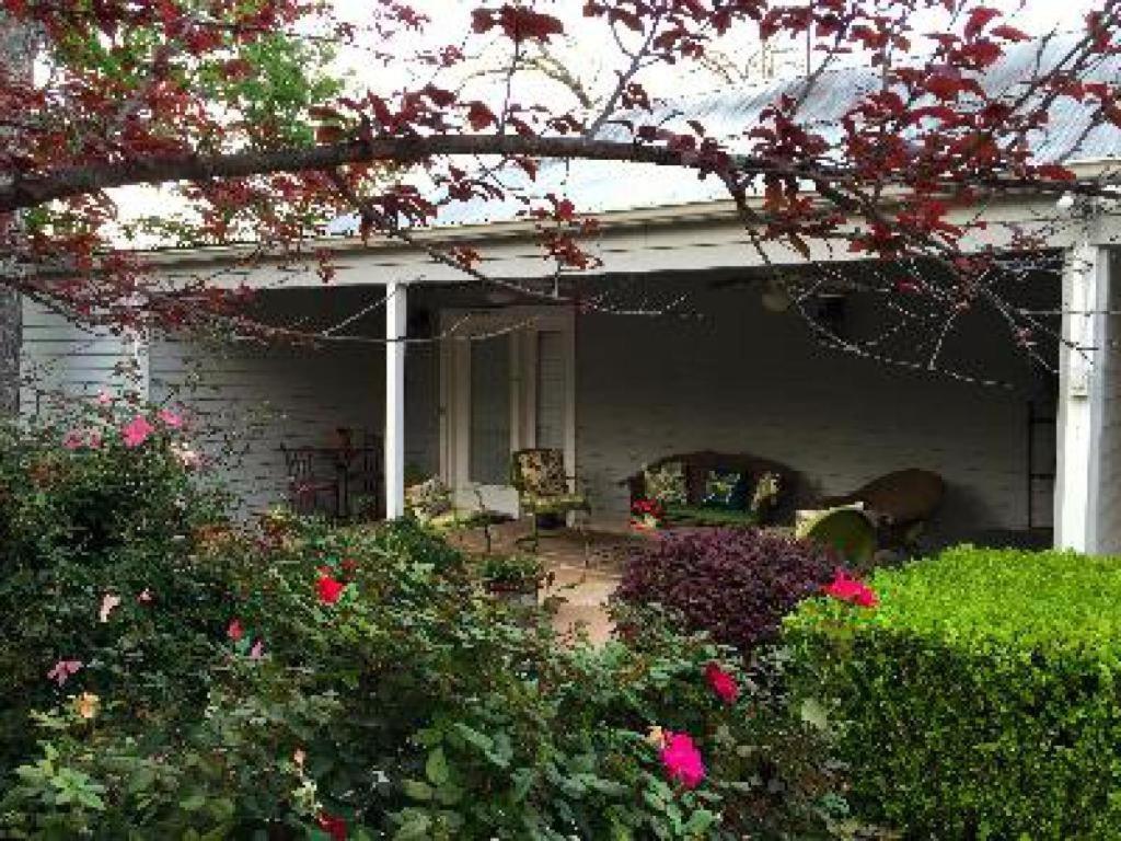 Comal Inn New Braunfels Chambre photo